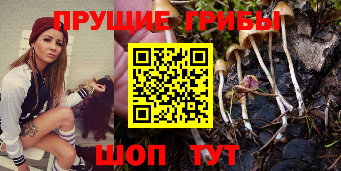Псилоцибиновые грибы Magic Shrooms Егорьевск