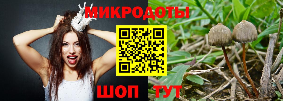 магазин продажи   Галлюциногенные грибы мицелий  Егорьевск  Вход с VPN  Галлюциногенные грибы прущие грибы 